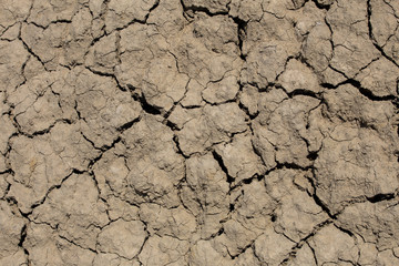 Dry cracked earth