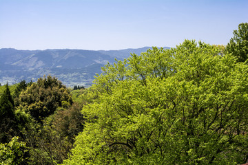 山をバックに新緑と青空
