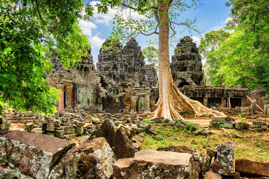 Ruins of Ta Prohm temple nestled amongst rainforest in Angkor