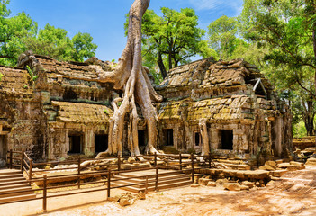 Fototapeta premium Amazing Ta Prohm temple overgrown with trees in Angkor, Cambodia