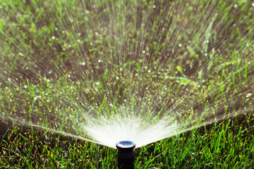 Sprinkler head spraying water on green lawn