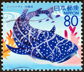 Naklejka premium Whale shark, Rhincodon typus (Japan 2007)