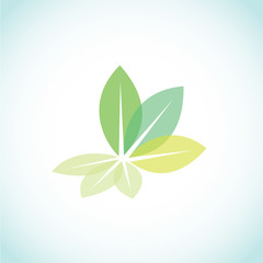 leaf butterfly icon vector