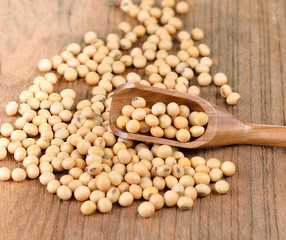 soy bean on wooden background