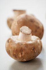 Fresh brown mushrooms close up