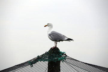 bretagne