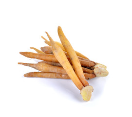 finger root on white background.