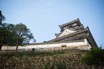 Fototapeta na wymiar Castle of Japan