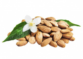 Almonds Isolated with Flower and Leaf