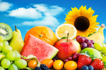 Obst und Sonnenblume