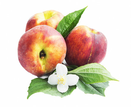 Fresh Peaches with Flower and Leaves