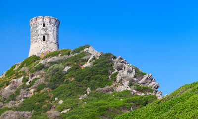 Fototapeta na wymiar La tour Parata. Ancient Genoese tower, Corsica