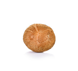 Shiitake mushroom on the White background