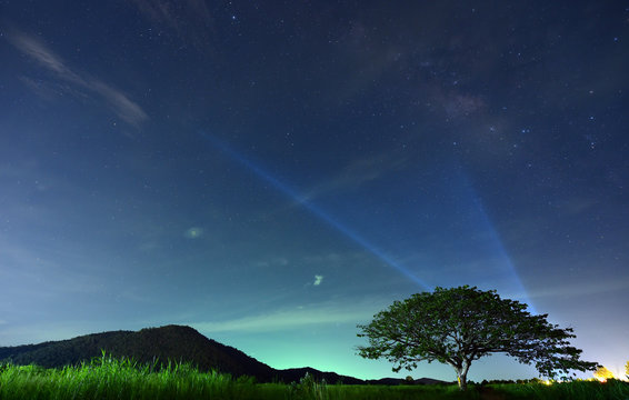 Night sky with the Milky Way over the forest and trees,Thailand
