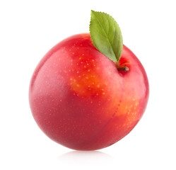 red plum on white background
