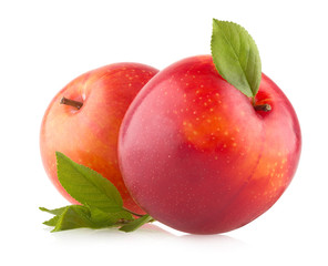 red plums on white background