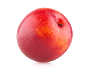 Obraz premium red plum on white background