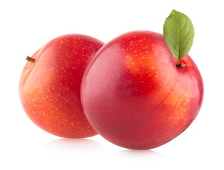 red plums on white background