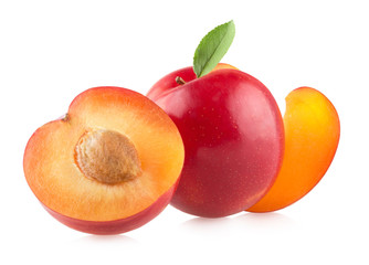 red plums on white background