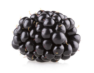 fresh blackberry isolated on white background
