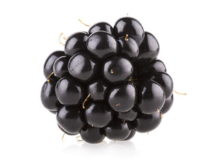 fresh blackberry isolated on white background