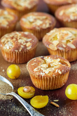 Mirabellen-Muffins