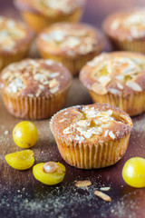Mirabellen-Muffins