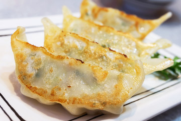 Gyoza  or Japanese Fried Dumplings on white plate with selective