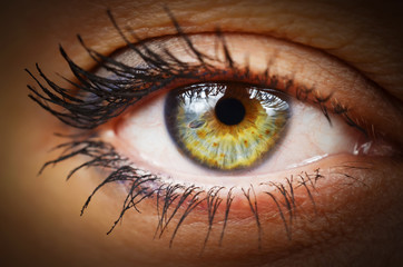  human eye close up