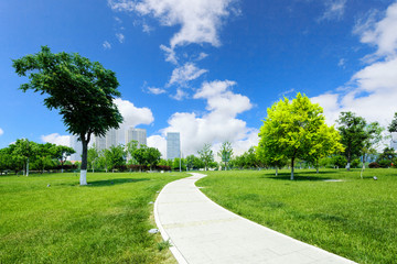 long footpath in meadow of park
