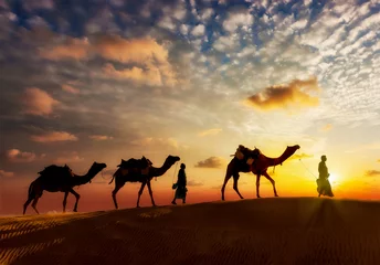 Foto op Plexiglas Two cameleers camel drivers with camels in dunes of Thar deser © Dmitry Rukhlenko