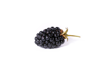 The blackberry berry