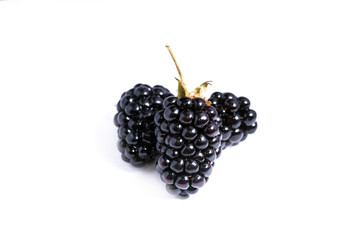 The blackberry berry