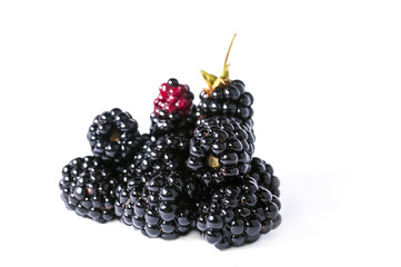The blackberry berry