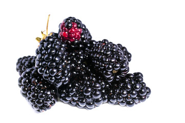 The blackberry berry