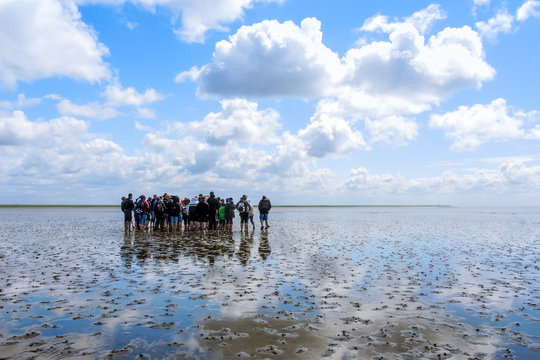 Wattwanderung Nationalpark Wattenmeer, B&uuml;sumer Deichhausen