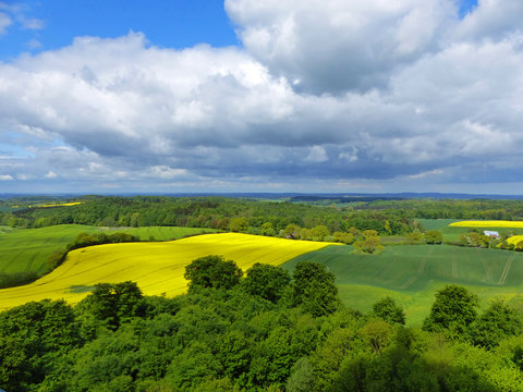 Fr&uuml;hling in Schleswig Holstein