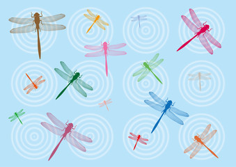 とんぼ © amanemark