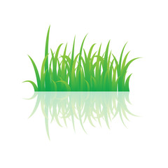 Green grass nature, vector