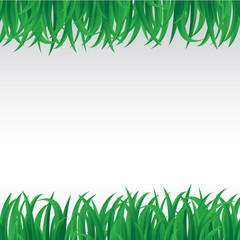 Obraz premium Green grass nature, vector