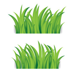 Green grass nature, vector