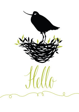 Hello postcard with bird