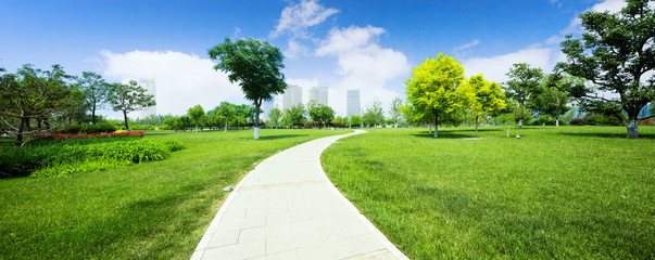 long footpath in meadow of park - obrazy, fototapety, plakaty