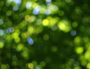 Obraz premium green bokeh