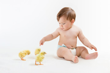 Baby boy in diapers points his finger at cute chicks, playing on an isolated white, horizontal orientation.