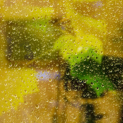 yellow background from raindrops on window pane