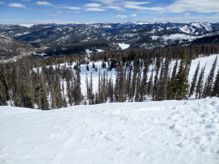 View from the top of a ski hill at Wolf Creek with beetle killed pines