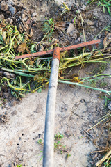 raking of dried grass by garden rake