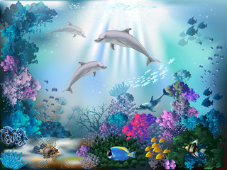 The underwater world with dolphins and plants 