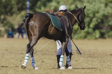Crédence de cuisine en verre imprimé Léquitation Polo-Cross Equestrian Sport player rider walking with horse pony